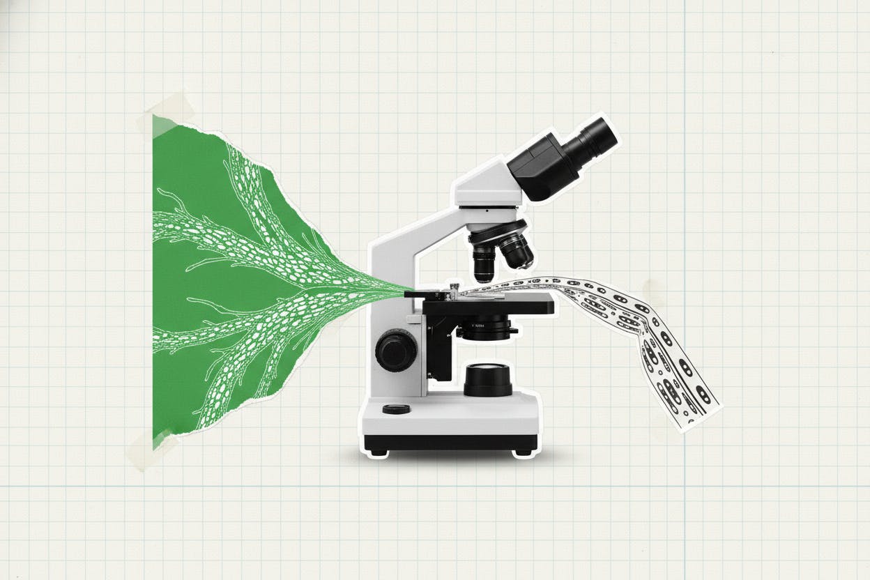 10x Genomics: spatial biology soars while single-cell stalls