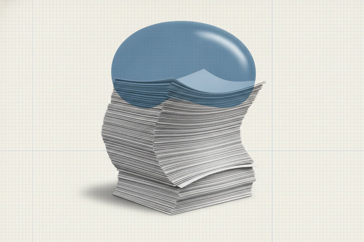 AI Paper Gains Flatter S&P 500 Earnings Growth, LSEG Says