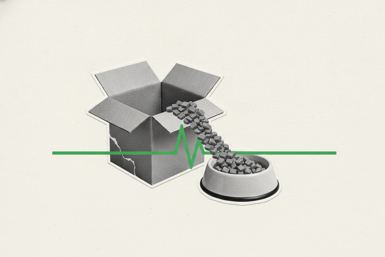 Chewy's Q2 report: can it keep gaining market share?