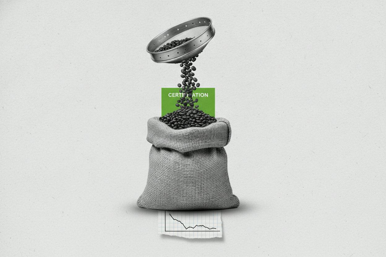 Coffee prices steady after 10-week low as Brazil rains boost crop hopes