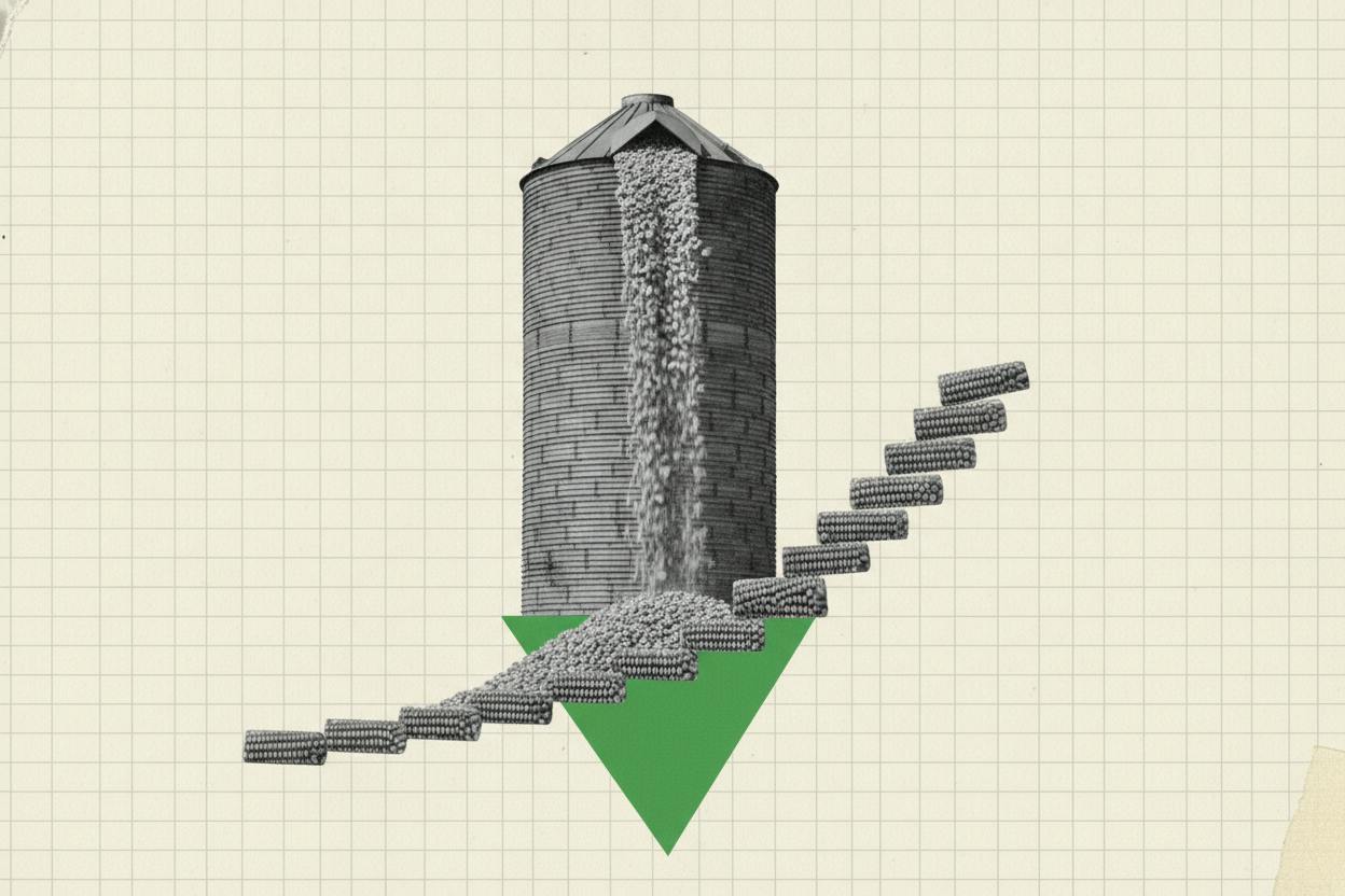 Corn futures slide as US stockpiles jump 35% after big harvest