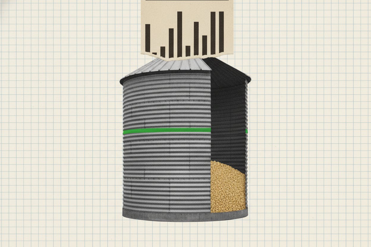 Corn Futures Surge as USDA Reports Tighter US Supplies and Smaller 2026 Crop