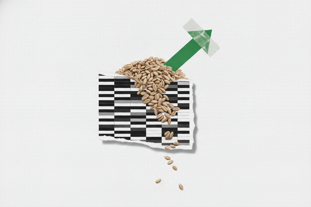 Funds Slash Bearish Wheat Bets on Euronext as Rapeseed Optimism Grows