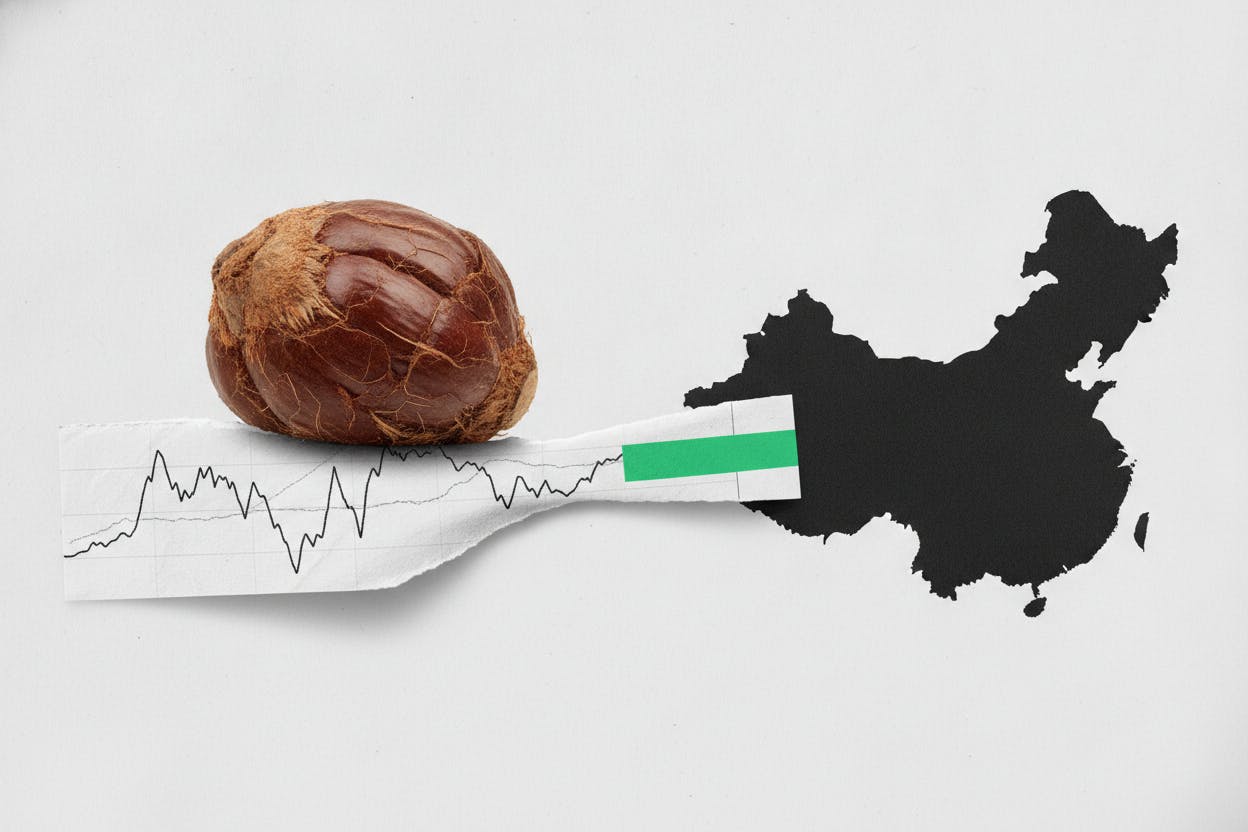 Malaysian Palm Oil Futures Rise as Traders Track China's Dalian Market