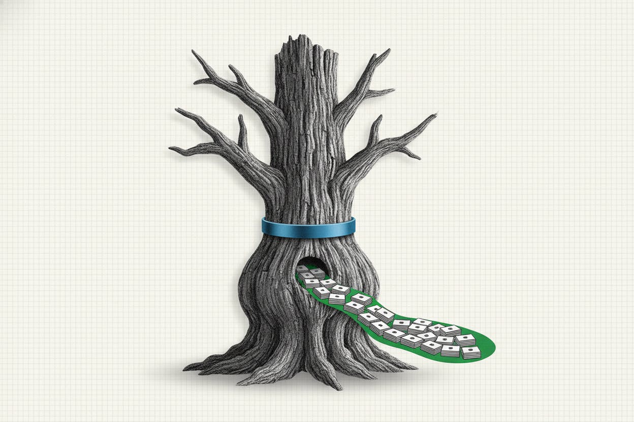 Oppenheimer lifts WisdomTree price target to $27 on steady inflows