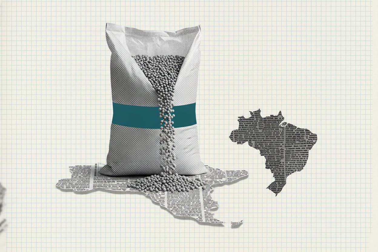 Pampa Energia's $2.7 Billion Fertilizer Bet Aims to Cut Argentina's Import Dependence