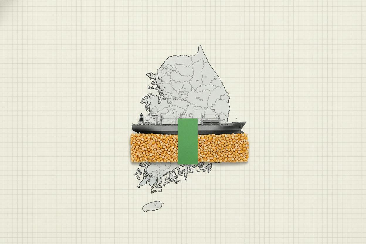 South Korea's MFG locks in 135,000 tons of corn for 2027 delivery