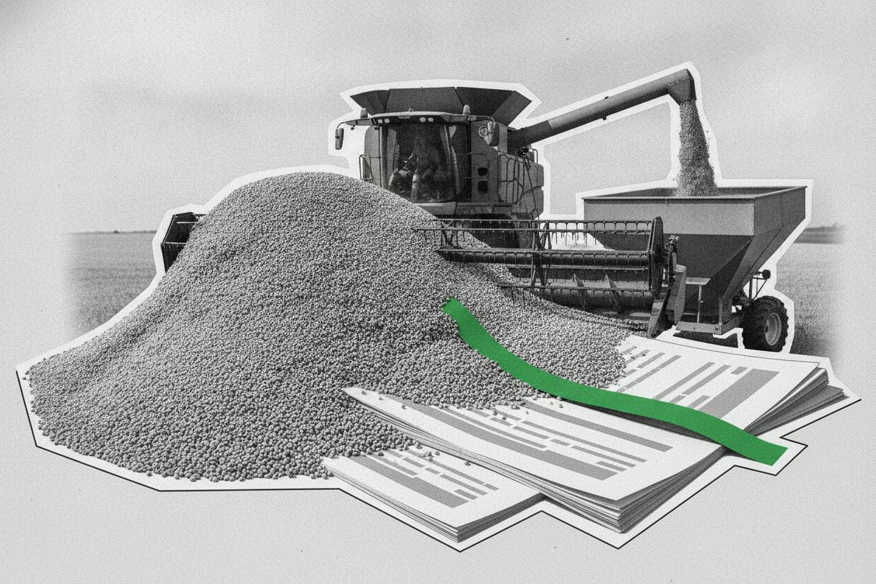 US soybean futures hit seven-week low as harvest speeds up